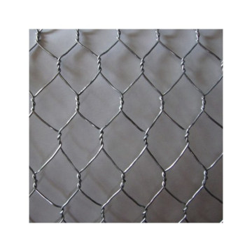 Poultry net wire mesh netting direct factory